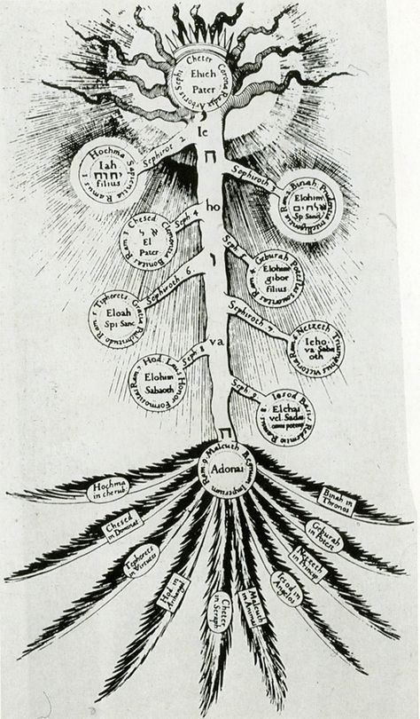 a028b38d52c1604d97430e77028360ef--tree-of-life-robert-richard